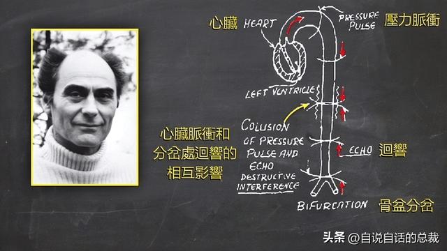 美军秘密研发了一项黑科技，竟然意外发现了道家修仙的真相？