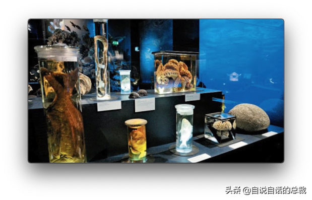 道家的真相：马王堆 - 从古墓中挖出的惊奇，现代技术无法复制……