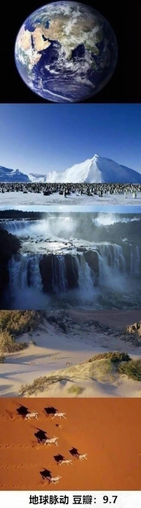 纪录片推荐——BBC九大经典再现！