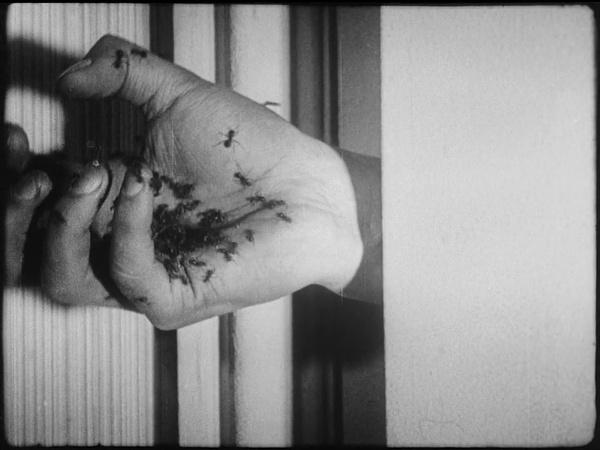 你知不知道，啥叫邪典电影？简直百无禁忌啊！