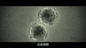 细思极恐 关于电影《湮灭》的解析与猜测